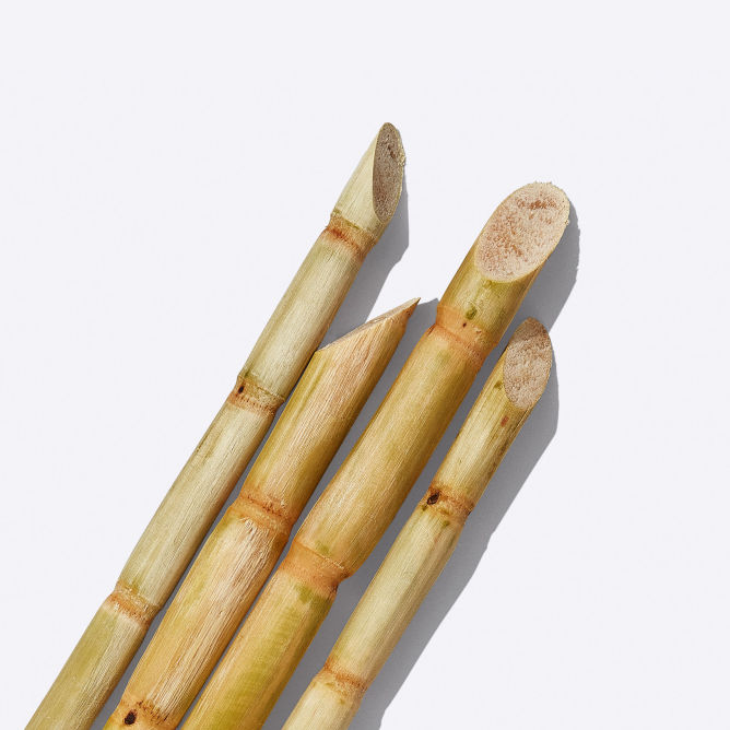 PDP-EP-Ingredients-Secondary-Fermented-Sugarcane